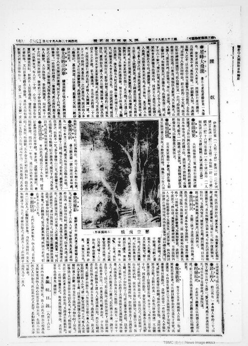 當時《臺灣日日新報》上有關於「北投納涼列車」的報導。（圖片提供：漢文臺灣日日新報［漢珍］）